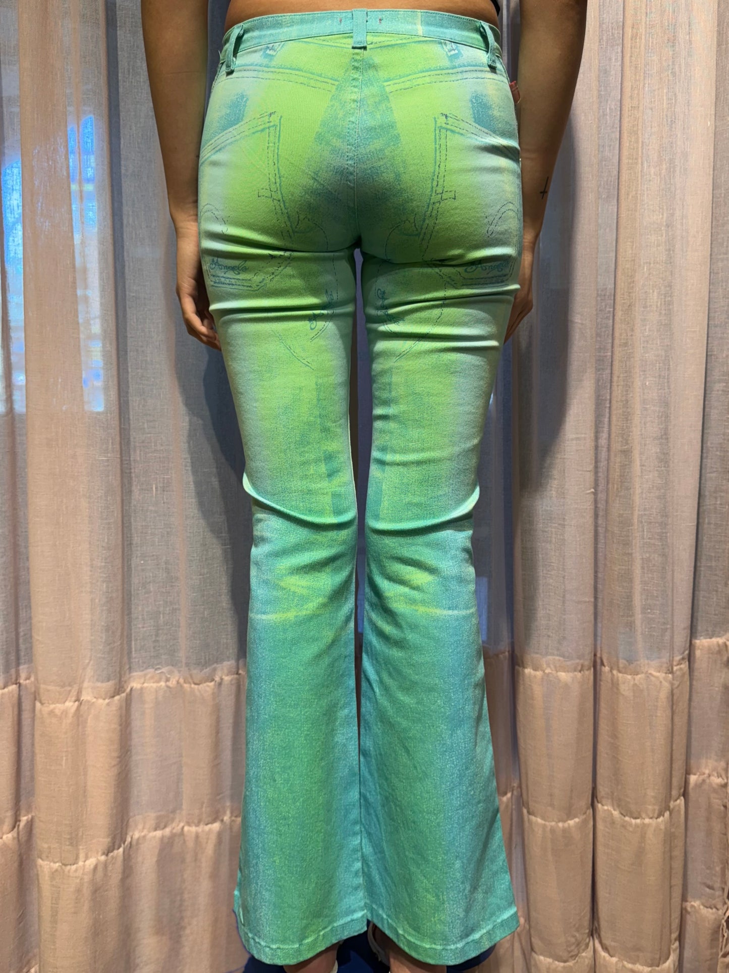 Roberto Cavalli Angels 2002 Gradient Pants